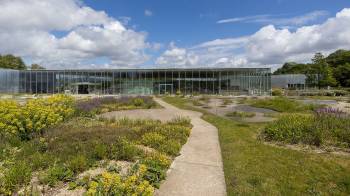 lens-louvre-lens