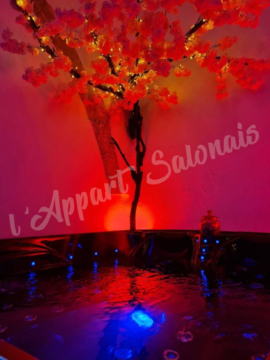 lappart-salonais-2