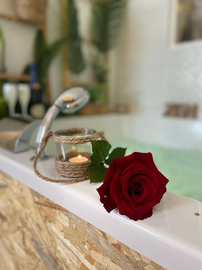 lovers-room-tropic-5
