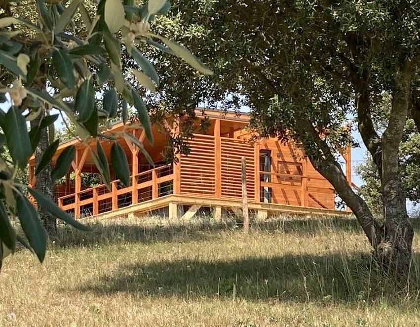 tresors-de-campagne-cabane-de-prestige-a-perte-de-vue-3