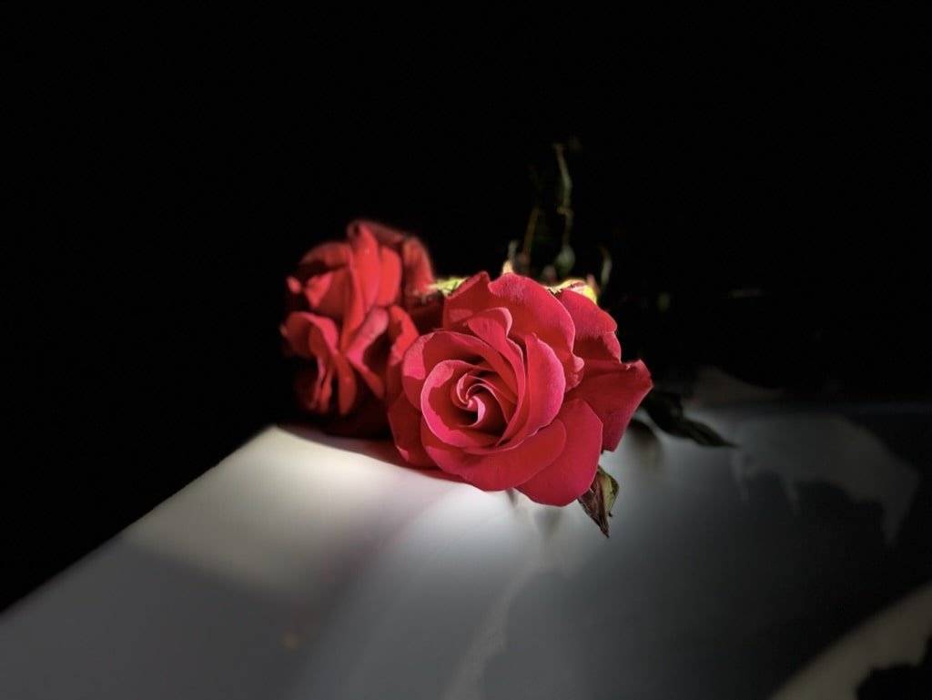 amour-amour-loveroom-6
