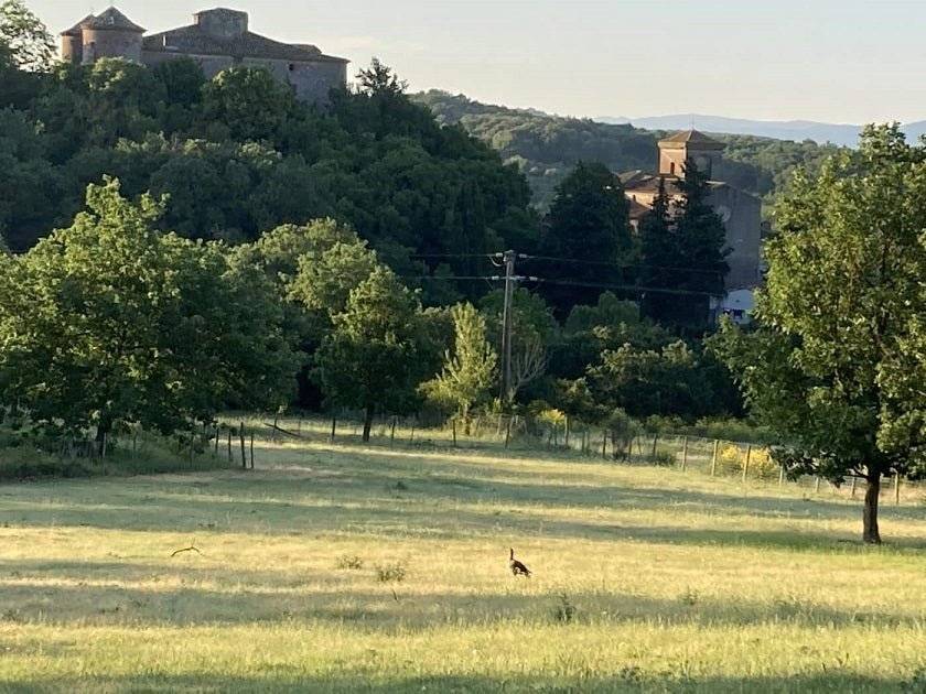 tresors-de-campagne-lodge-insolite-dame-du-chateau-avec-jacuzzi-privatif-6